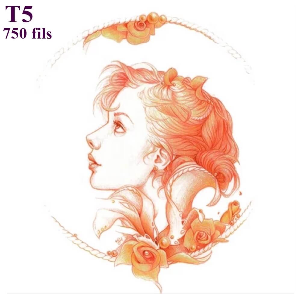 T5