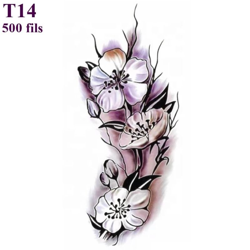 T14