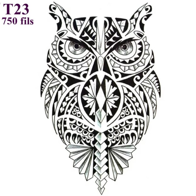 T23