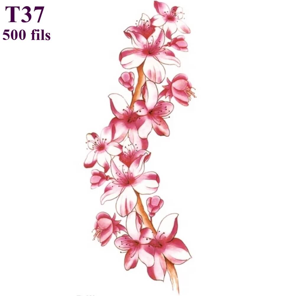 T37