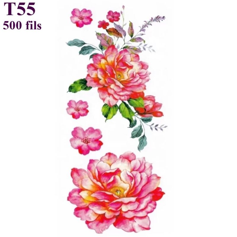 T55