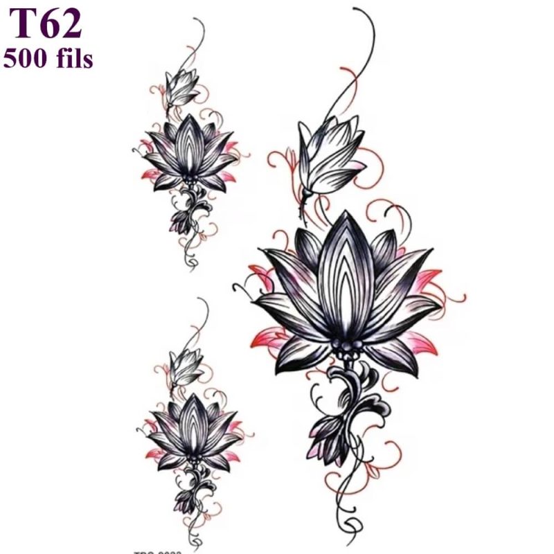 T62